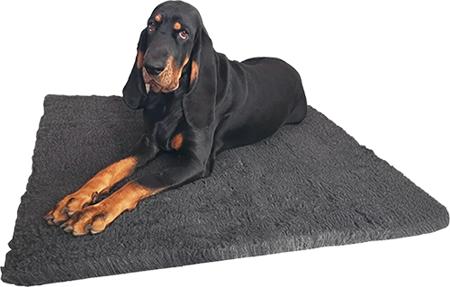 Agat malinka web pgn